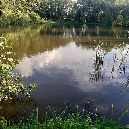 فيلا Marcinowka Gołdap المظهر الخارجي الصورة